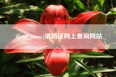 天长消防证网上查询网站