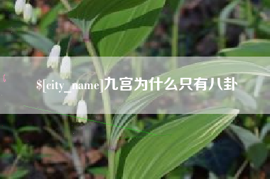 天长九宫为什么只有八卦