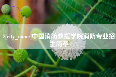 天长中国消防救援学院消防专业招生简章