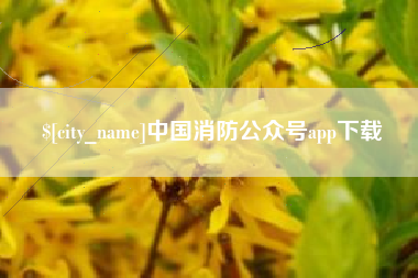 天长中国消防公众号app下载