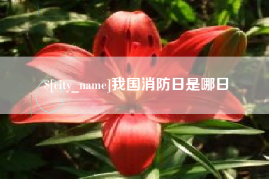 天长我国消防日是哪日
