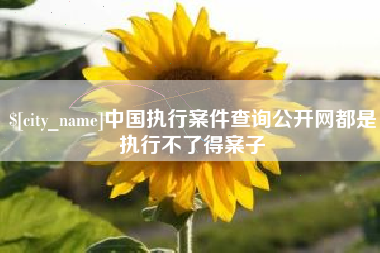 天长中国执行案件查询公开网都是执行不了得案子
