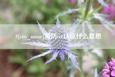 天长消防ccc认证什么意思
