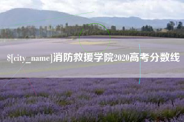 天长消防救援学院2020高考分数线