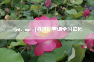 天长消防证查询全国联网
