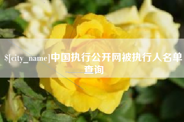 天长中国执行公开网被执行人名单查询