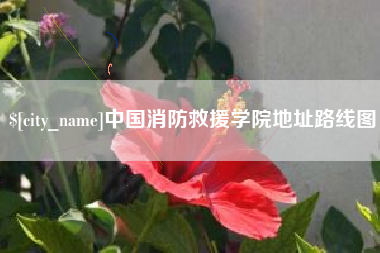 天长中国消防救援学院地址路线图