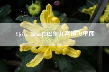 天长2022年九宫格飞星图