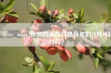 天长我国的消防日是每年的11月9日对吗？