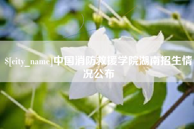 天长中国消防救援学院湖南招生情况公布