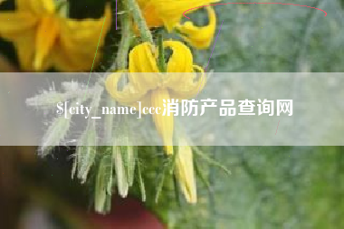 天长ccc消防产品查询网