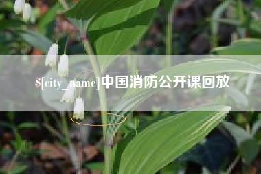 天长中国消防公开课回放