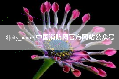 天长中国消防网官方网站公众号