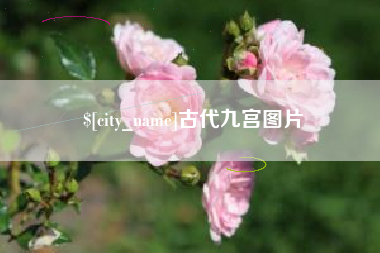 天长古代九宫图片
