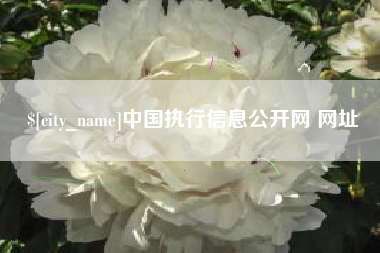 天长中国执行信息公开网 网址