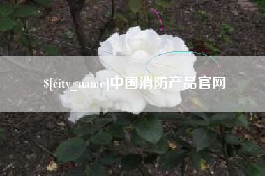 天长中国消防产品官网