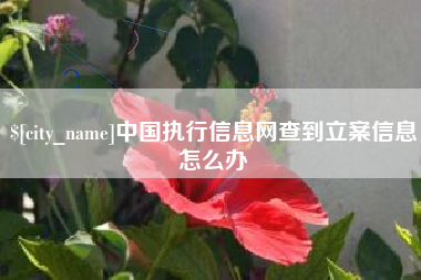 天长中国执行信息网查到立案信息怎么办