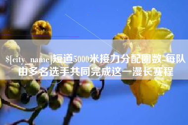 天长短道5000米接力分配圈数-每队由多名选手共同完成这一漫长赛程