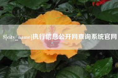 天长执行信息公开网查询系统官网