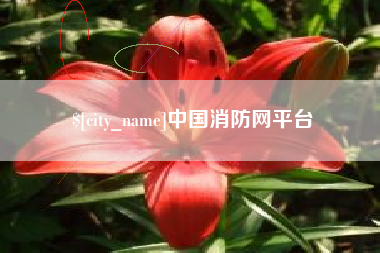 天长中国消防网平台