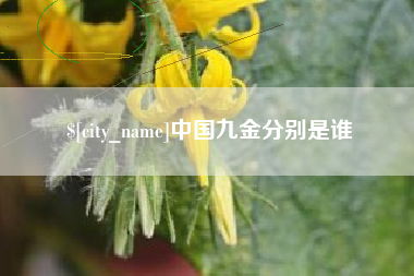 天长中国九金分别是谁