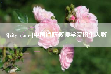 天长中国消防救援学院招生人数