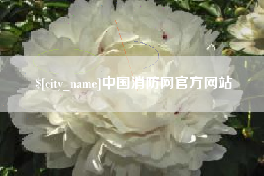 天长中国消防网官方网站
