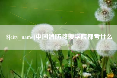 天长中国消防救援学院都考什么