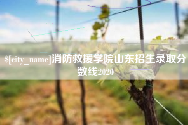 天长消防救援学院山东招生录取分数线2020
