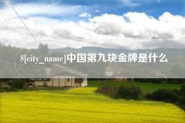 天长中国第九块金牌是什么