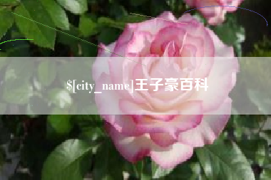 天长王子豪百科