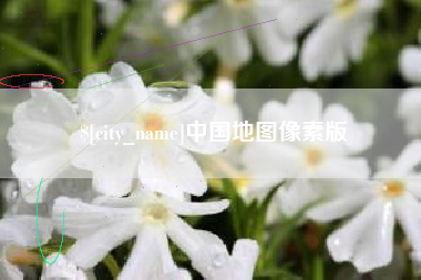 天长中国地图像素版