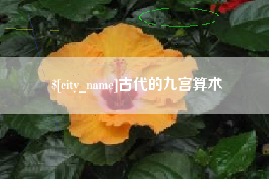 天长古代的九宫算术