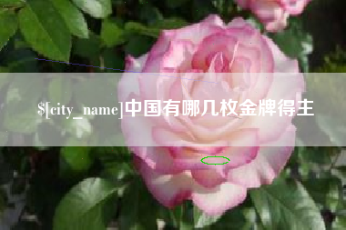 天长中国有哪几枚金牌得主