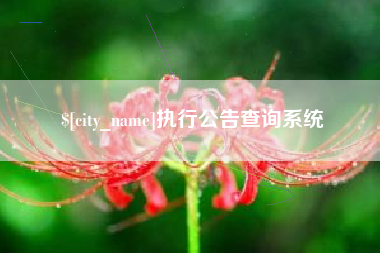 天长执行公告查询系统