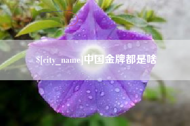 天长中国金牌都是啥