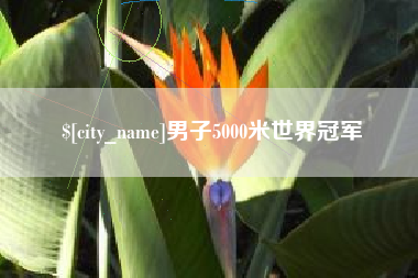 天长男子5000米世界冠军