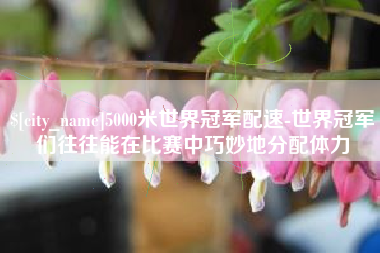 天长5000米世界冠军配速-世界冠军们往往能在比赛中巧妙地分配体力
