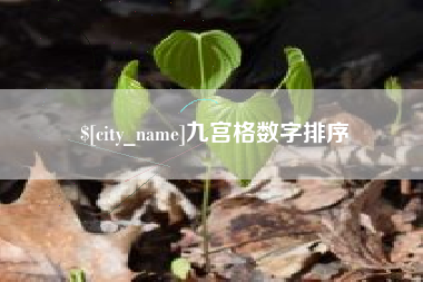 天长九宫格数字排序