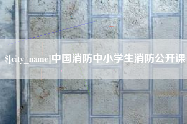 天长中国消防中小学生消防公开课