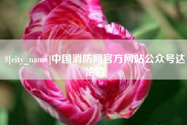 天长中国消防网官方网站公众号达伦特