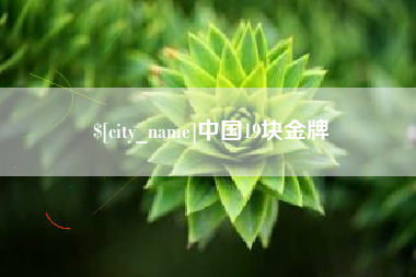 天长中国19块金牌