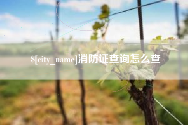天长消防证查询怎么查