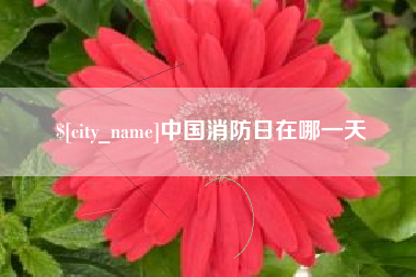 天长中国消防日在哪一天