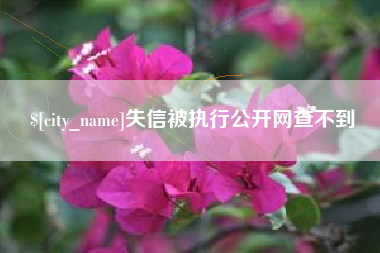 天长失信被执行公开网查不到