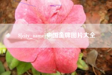 天长中国金牌图片大全