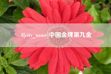 天长中国金牌第九金
