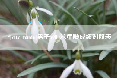 天长男子5000米年龄成绩对照表