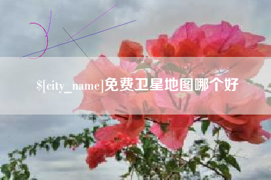 天长免费卫星地图哪个好
