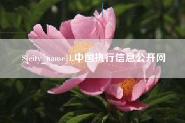 天长1.中国执行信息公开网